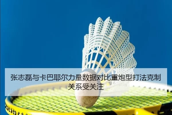 张志磊与卡巴耶尔力量数据对比重炮型打法克制关系受关注